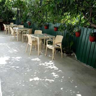 Апартаменты гостевой дом Стелла Гагра Апартаменты с 1 спальней-1