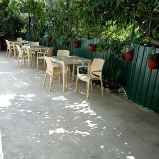 Апартаменты гостевой дом Стелла Гагра Апартаменты с 1 спальней-3