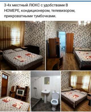 Апартаменты гостевой дом Стелла Гагра Апартаменты с 1 спальней-2